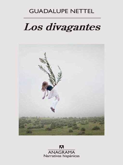 Cover image for Los divagantes